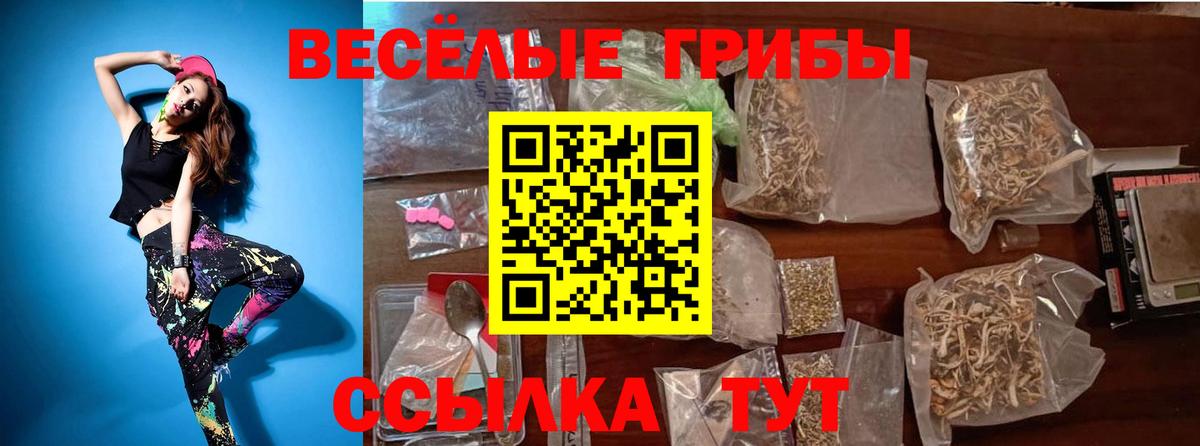 Зеленодольск  Псилоцибиновые грибы прущие грибы  Вход с VPN 
